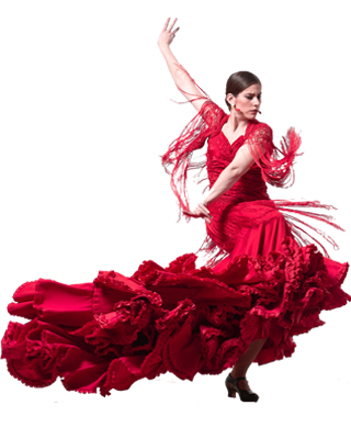 /files/groups-fotos/flamenko_1.jpg